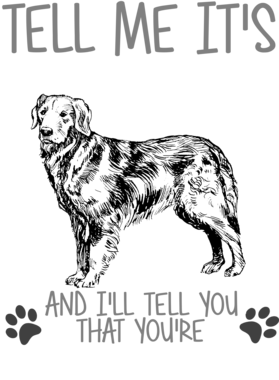 https://d1w8c6s6gmwlek.cloudfront.net/alldogtshirts.com/overlays/373/117/37311725.png img