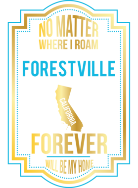 https://d1w8c6s6gmwlek.cloudfront.net/alldogtshirts.com/overlays/373/534/37353451.png img