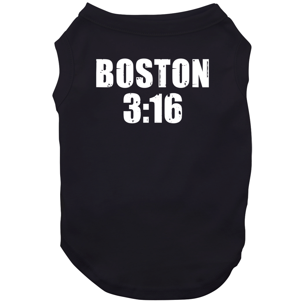 Boston 3:16 Stone Cold Steve Austin Wrestling Parody Dog Boston 3:16 Stone Cold Steve Austin Wrestling Parody Dog