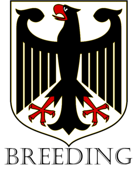 https://d1w8c6s6gmwlek.cloudfront.net/avatshirt.com/overlays/151/042/15104216.png img