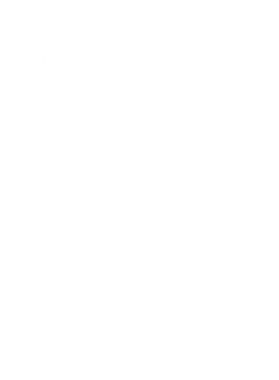 https://d1w8c6s6gmwlek.cloudfront.net/avatshirt.com/overlays/208/537/20853740.png img