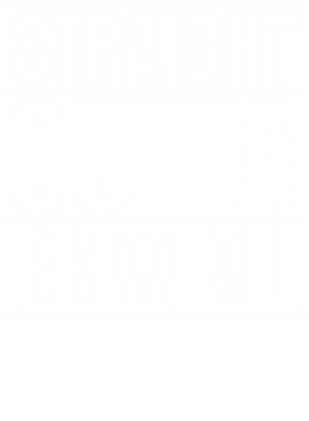 https://d1w8c6s6gmwlek.cloudfront.net/avatshirt.com/overlays/208/538/20853802.png img