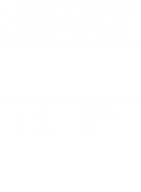 image overlay