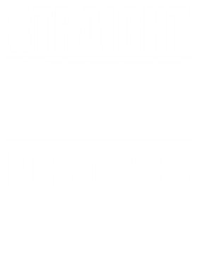 https://d1w8c6s6gmwlek.cloudfront.net/avatshirt.com/overlays/208/631/20863170.png img