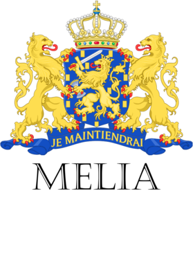 image overlay