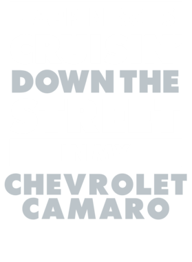 https://d1w8c6s6gmwlek.cloudfront.net/avatshirt.com/overlays/232/207/23220717.png img