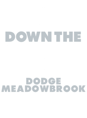 https://d1w8c6s6gmwlek.cloudfront.net/avatshirt.com/overlays/232/208/23220885.png img
