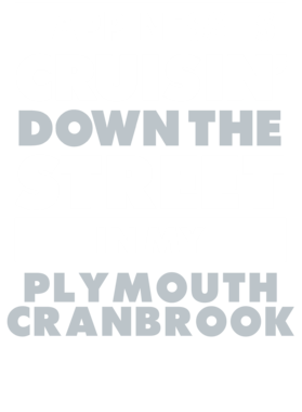 https://d1w8c6s6gmwlek.cloudfront.net/avatshirt.com/overlays/232/238/23223882.png img