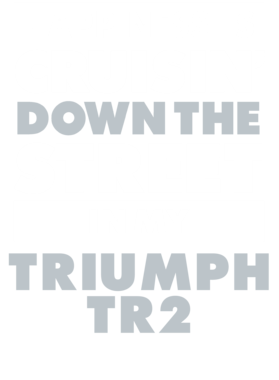 https://d1w8c6s6gmwlek.cloudfront.net/avatshirt.com/overlays/232/251/23225105.png img