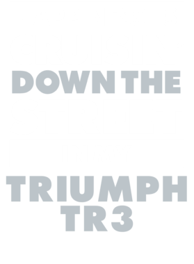 https://d1w8c6s6gmwlek.cloudfront.net/avatshirt.com/overlays/232/251/23225106.png img
