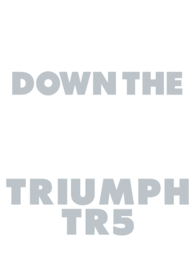 https://d1w8c6s6gmwlek.cloudfront.net/avatshirt.com/overlays/232/251/23225120.png img