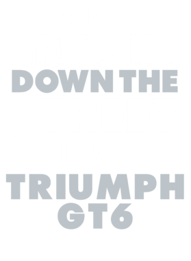 https://d1w8c6s6gmwlek.cloudfront.net/avatshirt.com/overlays/232/251/23225124.png img