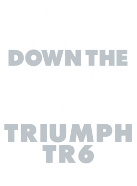 https://d1w8c6s6gmwlek.cloudfront.net/avatshirt.com/overlays/232/251/23225129.png img
