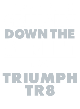 https://d1w8c6s6gmwlek.cloudfront.net/avatshirt.com/overlays/232/251/23225135.png img