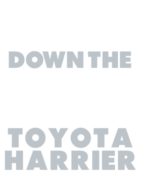 https://d1w8c6s6gmwlek.cloudfront.net/avatshirt.com/overlays/232/254/23225455.png img