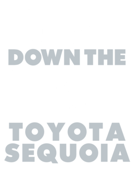 https://d1w8c6s6gmwlek.cloudfront.net/avatshirt.com/overlays/232/258/23225800.png img