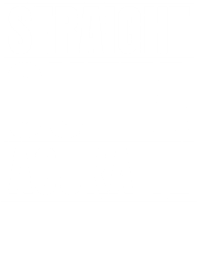 image overlay