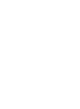https://d1w8c6s6gmwlek.cloudfront.net/avatshirt.com/overlays/265/358/26535849.png img