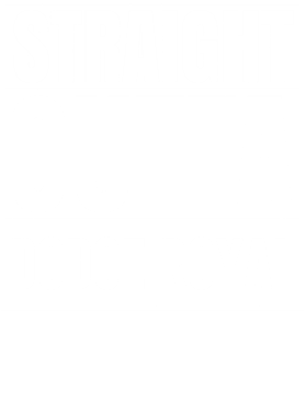 https://d1w8c6s6gmwlek.cloudfront.net/avatshirt.com/overlays/265/364/26536481.png img