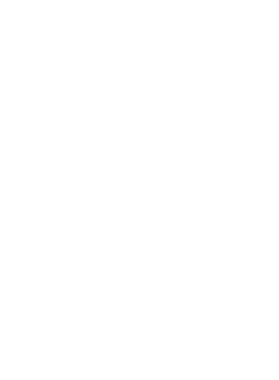 https://d1w8c6s6gmwlek.cloudfront.net/avatshirt.com/overlays/265/387/26538763.png img