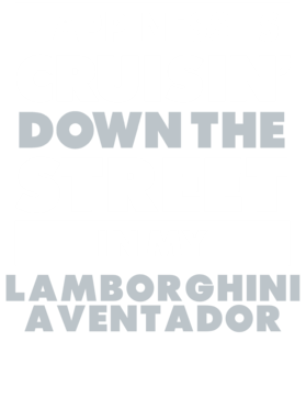https://d1w8c6s6gmwlek.cloudfront.net/avatshirt.com/overlays/265/421/26542137.png img
