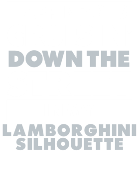 https://d1w8c6s6gmwlek.cloudfront.net/avatshirt.com/overlays/265/423/26542390.png img