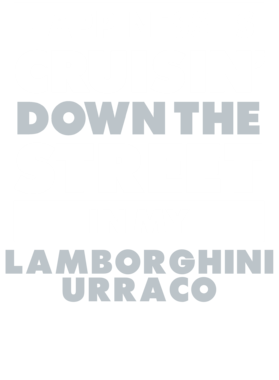 https://d1w8c6s6gmwlek.cloudfront.net/avatshirt.com/overlays/265/424/26542413.png img