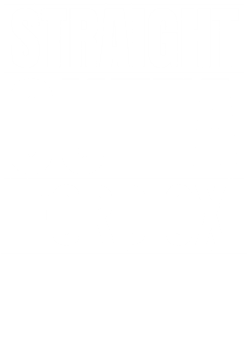 https://d1w8c6s6gmwlek.cloudfront.net/avatshirt.com/overlays/265/424/26542467.png img