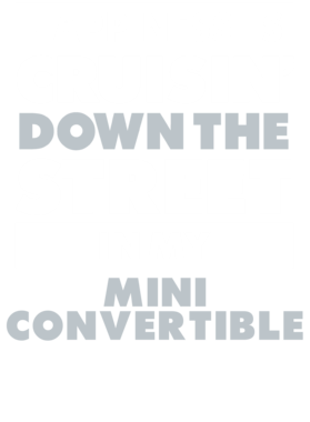 https://d1w8c6s6gmwlek.cloudfront.net/avatshirt.com/overlays/265/471/26547140.png img