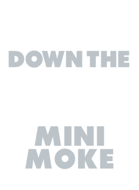 https://d1w8c6s6gmwlek.cloudfront.net/avatshirt.com/overlays/265/471/26547153.png img