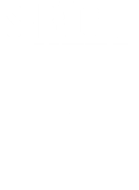 https://d1w8c6s6gmwlek.cloudfront.net/avatshirt.com/overlays/265/472/26547289.png img