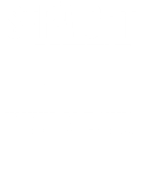 https://d1w8c6s6gmwlek.cloudfront.net/avatshirt.com/overlays/265/511/26551105.png img