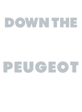 https://d1w8c6s6gmwlek.cloudfront.net/avatshirt.com/overlays/265/536/26553685.png img