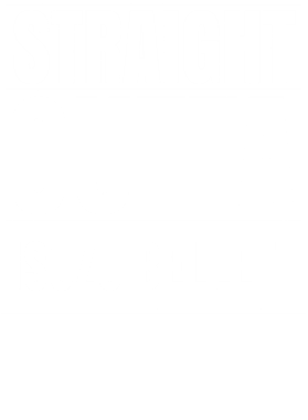 https://d1w8c6s6gmwlek.cloudfront.net/avatshirt.com/overlays/265/537/26553759.png img
