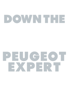 https://d1w8c6s6gmwlek.cloudfront.net/avatshirt.com/overlays/265/537/26553778.png img
