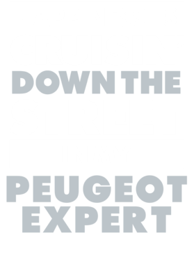 https://d1w8c6s6gmwlek.cloudfront.net/avatshirt.com/overlays/265/546/26554665.png img