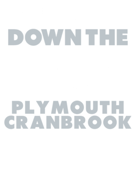 https://d1w8c6s6gmwlek.cloudfront.net/avatshirt.com/overlays/265/549/26554903.png img