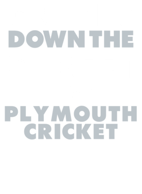 https://d1w8c6s6gmwlek.cloudfront.net/avatshirt.com/overlays/265/549/26554922.png img