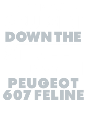 https://d1w8c6s6gmwlek.cloudfront.net/avatshirt.com/overlays/265/549/26554997.png img