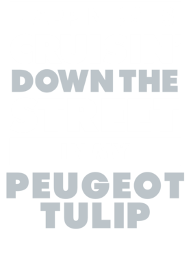 https://d1w8c6s6gmwlek.cloudfront.net/avatshirt.com/overlays/265/553/26555366.png img