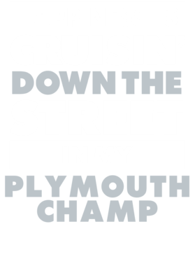 https://d1w8c6s6gmwlek.cloudfront.net/avatshirt.com/overlays/265/557/26555795.png img