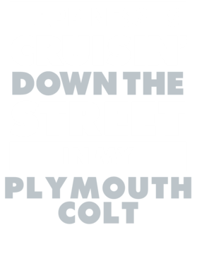 https://d1w8c6s6gmwlek.cloudfront.net/avatshirt.com/overlays/265/558/26555839.png img