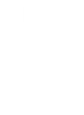 https://d1w8c6s6gmwlek.cloudfront.net/avatshirt.com/overlays/265/560/26556000.png img