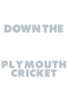 https://d1w8c6s6gmwlek.cloudfront.net/avatshirt.com/overlays/265/560/26556017.png img