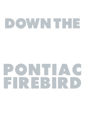 https://d1w8c6s6gmwlek.cloudfront.net/avatshirt.com/overlays/265/560/26556047.png img