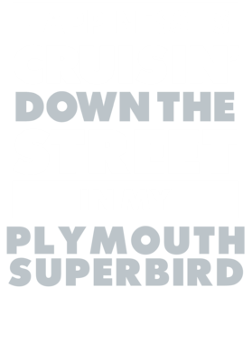 https://d1w8c6s6gmwlek.cloudfront.net/avatshirt.com/overlays/265/565/26556572.png img