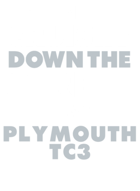 https://d1w8c6s6gmwlek.cloudfront.net/avatshirt.com/overlays/265/565/26556592.png img