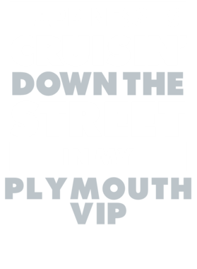 https://d1w8c6s6gmwlek.cloudfront.net/avatshirt.com/overlays/265/566/26556684.png img