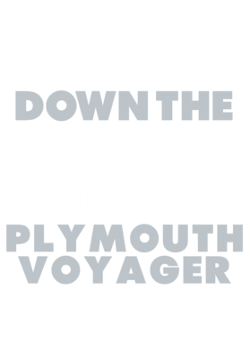 https://d1w8c6s6gmwlek.cloudfront.net/avatshirt.com/overlays/265/567/26556718.png img