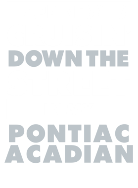 https://d1w8c6s6gmwlek.cloudfront.net/avatshirt.com/overlays/265/567/26556784.png img
